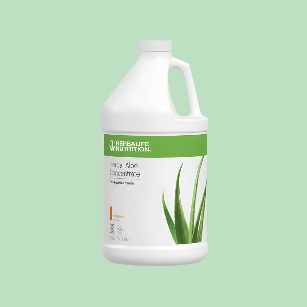 Herbal Aloe Concentrate: Mandarin Half Gallon